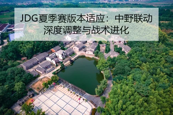 JDG夏季赛版本适应：中野联动深度调整与战术进化