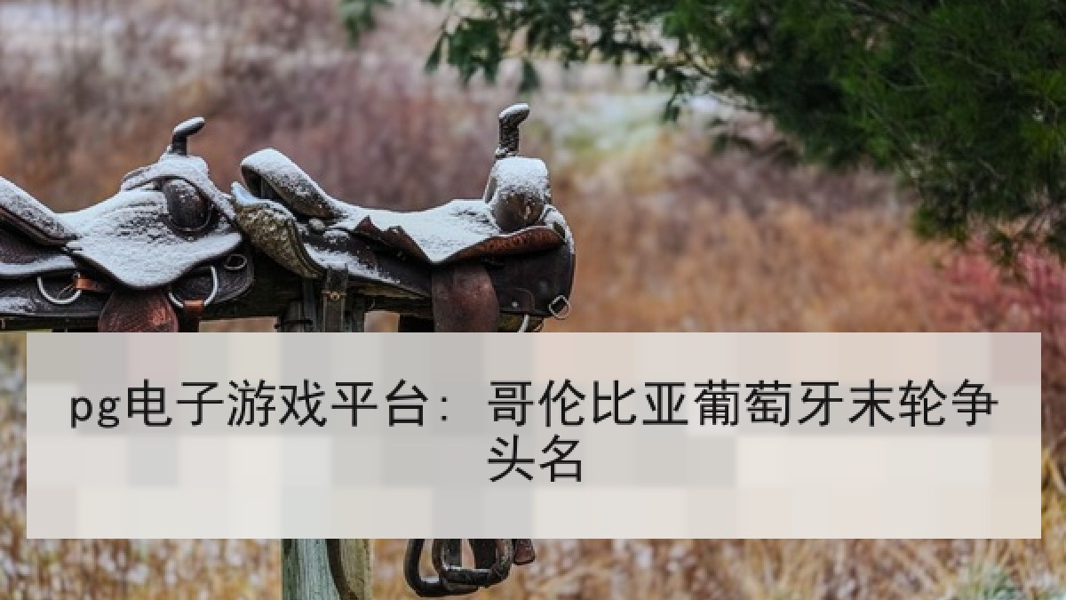 pg电子游戏平台: 哥伦比亚葡萄牙末轮争头名