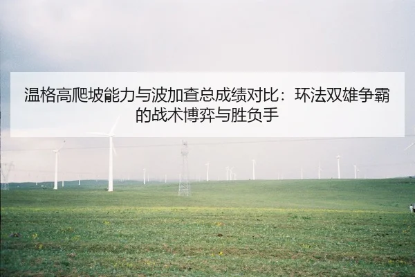 温格高爬坡能力与波加查总成绩对比：环法双雄争霸的战术博弈与胜负手