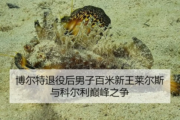 bo-er-te-tui-yi-hou-nan-zi-bai-mi-xin-wang-lai-er-si-yu-ke-er-li-dian-feng-zhi-zheng-3-731.jpg