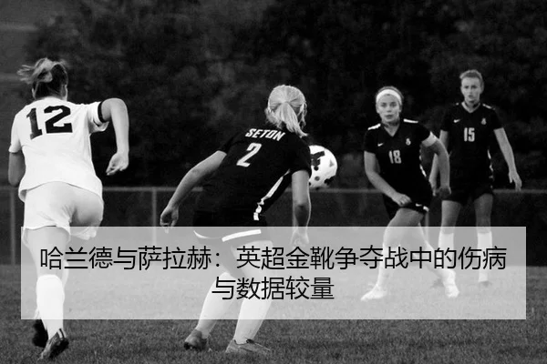 ha-lan-de-yu-sa-la-he-ying-chao-jin-xue-zheng-duo-zhan-zhong-de-shang-bing-yu-shu-ju-jiao-liang-3-909.jpg