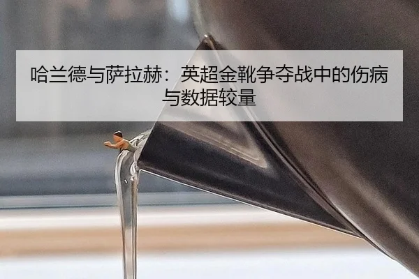 哈兰德与萨拉赫：英超金靴争夺战中的伤病与数据较量
