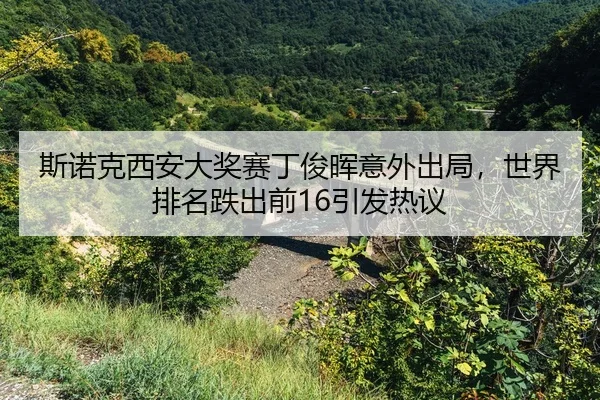 si-nuo-ke-xi-an-da-jiang-sai-ding-jun-hui-yi-wai-chu-ju-shi-jie-pai-ming-die-chu-qian-yin-fa-re-yi-2-125.jpg