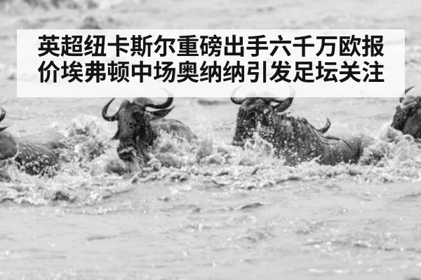 英超纽卡斯尔重磅出手六千万欧报价埃弗顿中场奥纳纳引发足坛关注