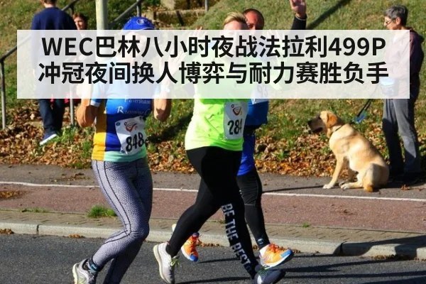 WEC巴林八小时夜战法拉利499P冲冠夜间换人博弈与耐力赛胜负手